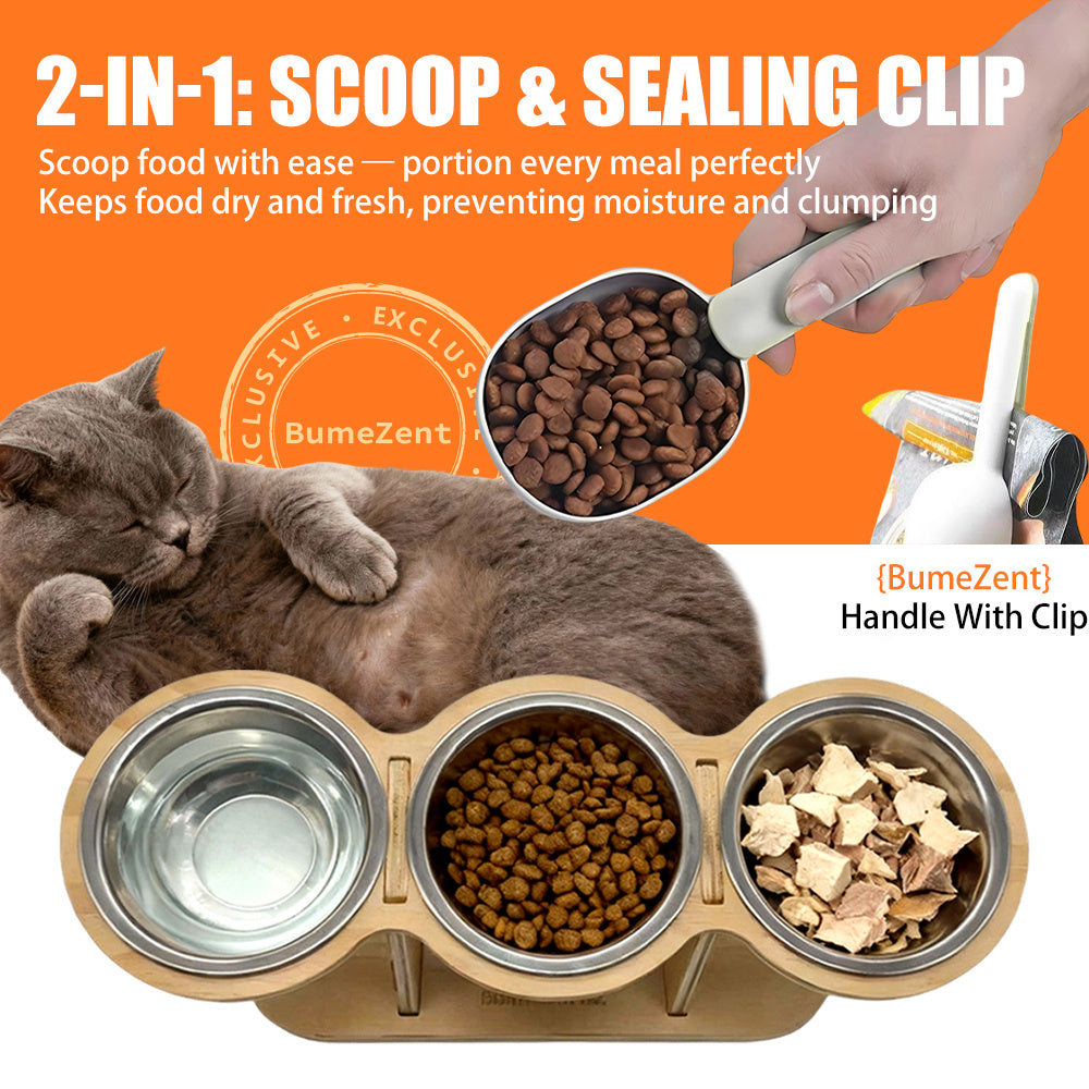 Elevated Cat Bowl Set with Spoon Option, Stainless Steel Food and Water Bowls on Stand for Cats, Kittens, Puppies and Small Pets at Home
