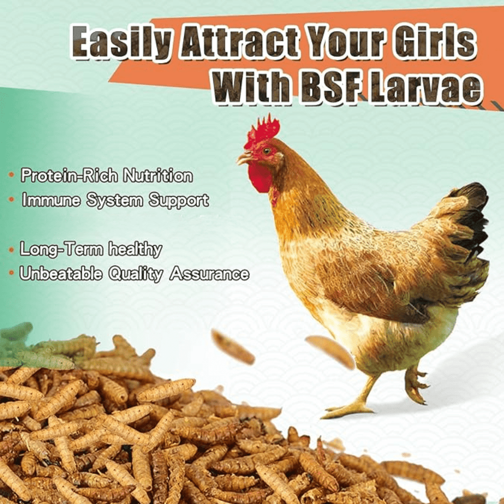 Bulk Chicken Grubs, Dried Black Soldier Fly Larvae Treats in 10, 20 or 40 lb Sizes for Backyard Chickens, Ducks and Quail Feeding Routines