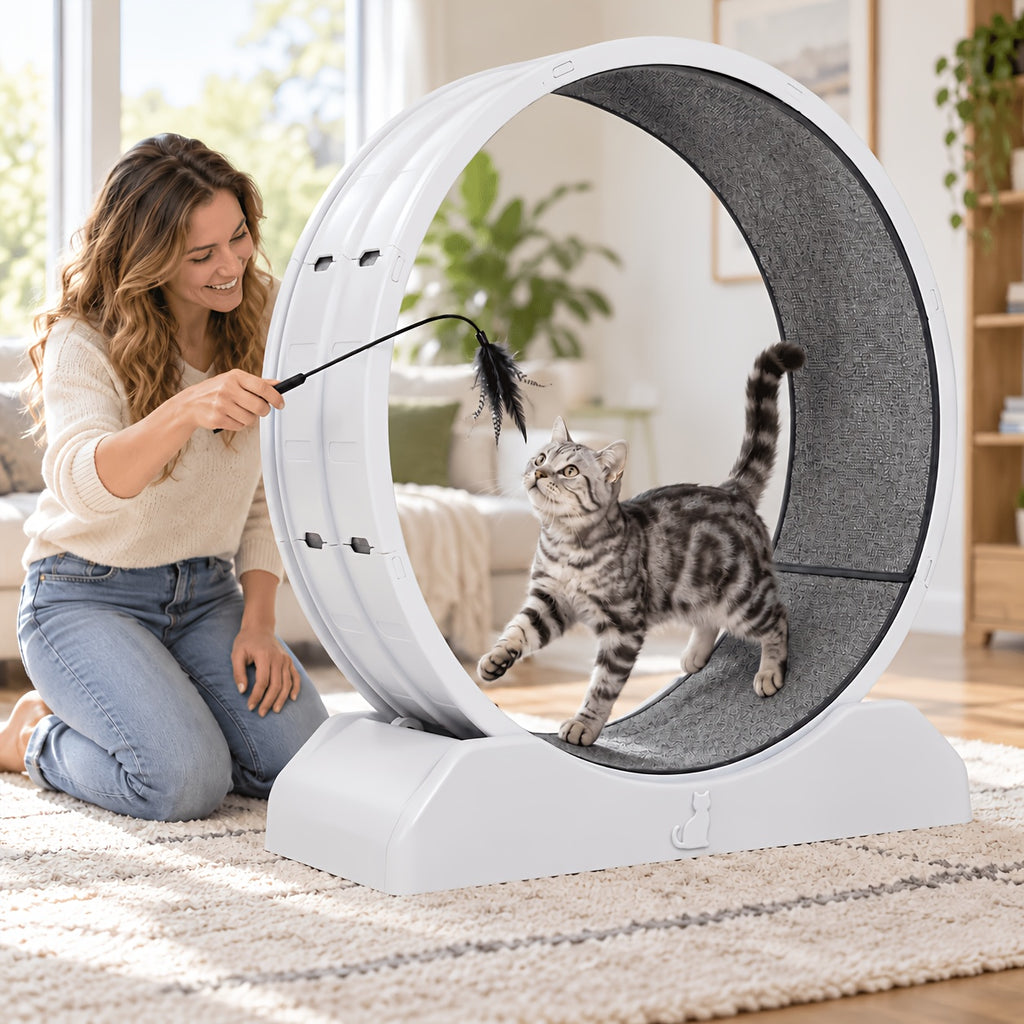 33 Inch Cat Exercise Wheel with Carpeted Runway, Plastic Indoor Cat Treadmill for Supervised Activity, Includes Whistle in Grey, Blue or Green