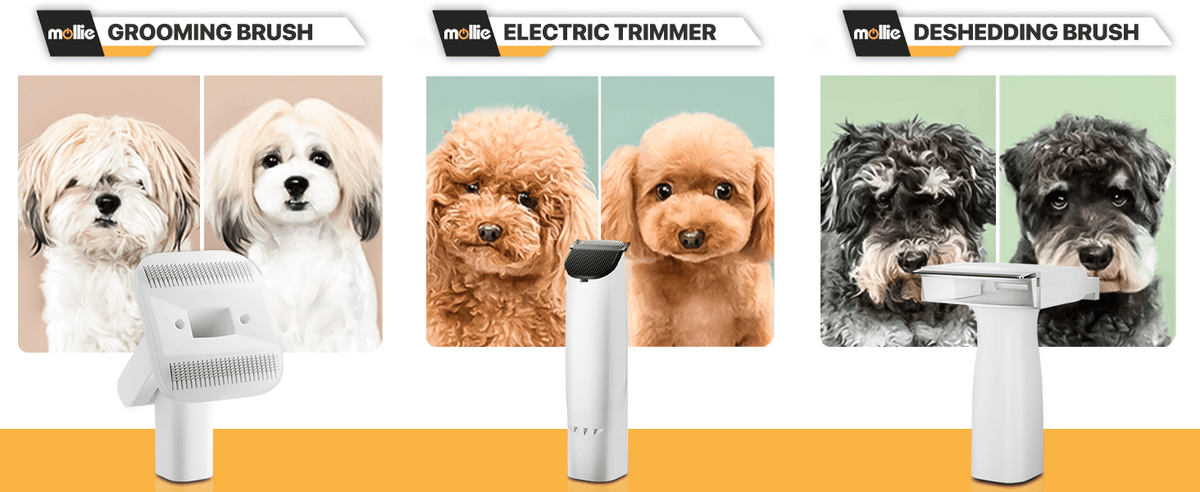 Dog Grooming Vacuum and Dryer Kit with 6 Grooming Tools, Trimmer and Guide Combs for At-Home Dog and Cat Coat Care, MoNiBloom