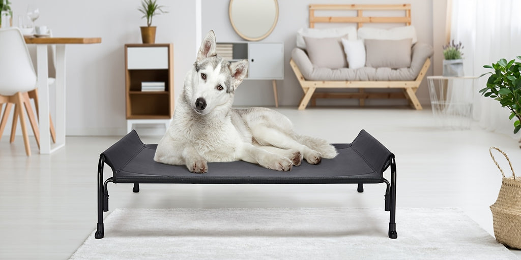 Elevated Dog Bed with Sloped Headrest, Breathable Raised Pet Cot in M to XXL Sizes for Indoor Lounging, Outdoor Rest and Camping