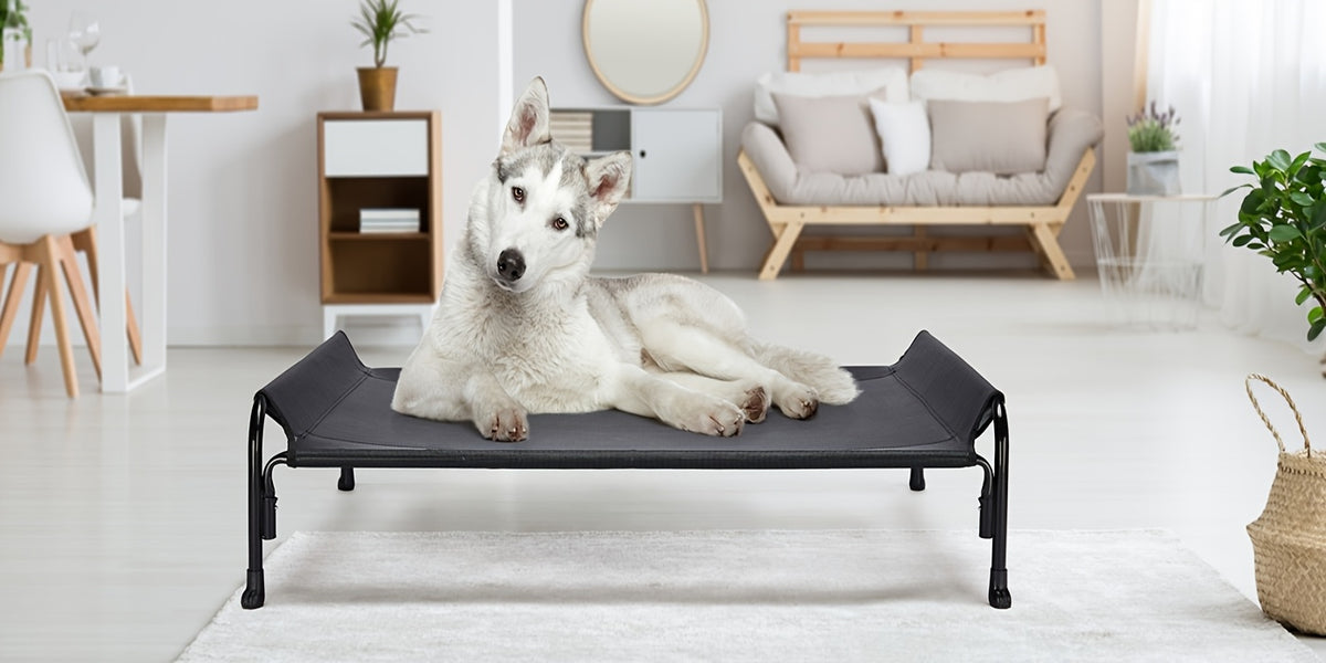 Elevated Dog Bed with Sloped Headrest, Breathable Raised Pet Cot in M to XXL Sizes for Indoor Lounging, Outdoor Rest and Camping