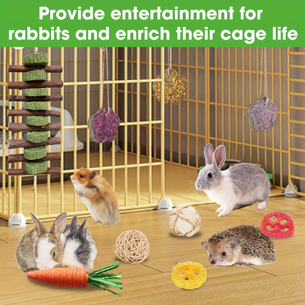 Timothy Hay Treats Variety Pack for Rabbits, Guinea Pigs and Hamsters, 21 Assorted Hay Sticks and Cakes with Carrot and Strawberry Styles