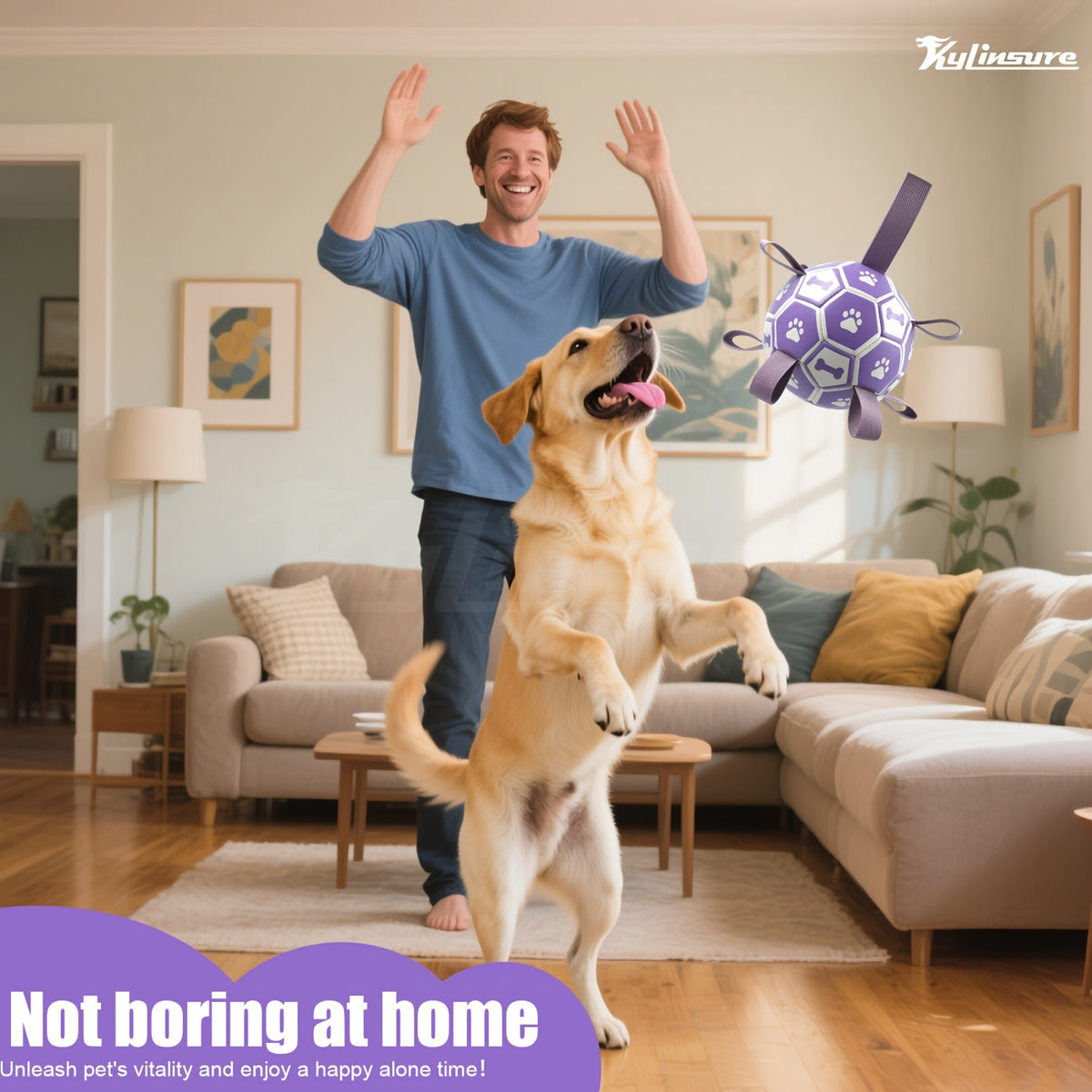 Dog Fetch Ball with Grab Straps, Purple and Gray Paw and Bone Soccer-Style Toy with Pump for Supervised Tug Games, Outdoor Play and Dog Birthday Gifts