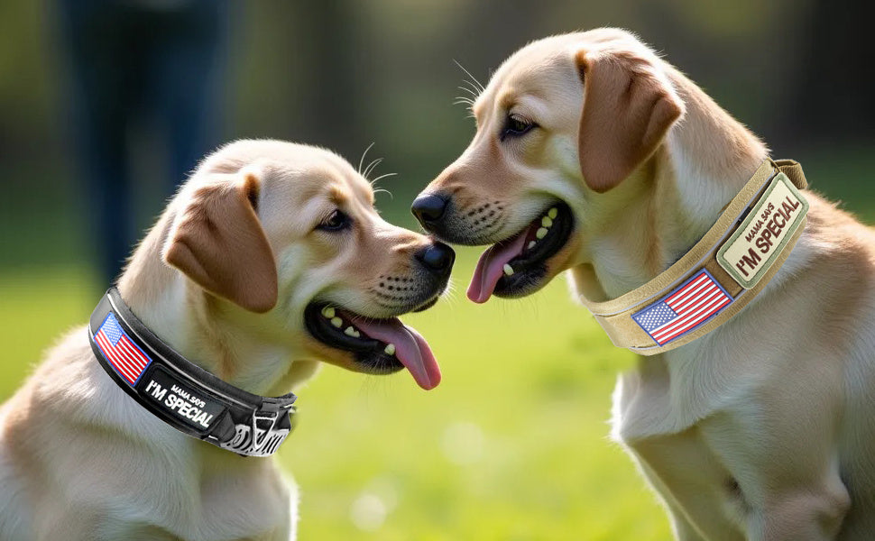 Tactical Dog Collar 2.6 Inch Wide with Padded Control Handle, Reflective Adjustable Nylon and Mesh Collar with Metal Buckle and 2 Patches, M L XL