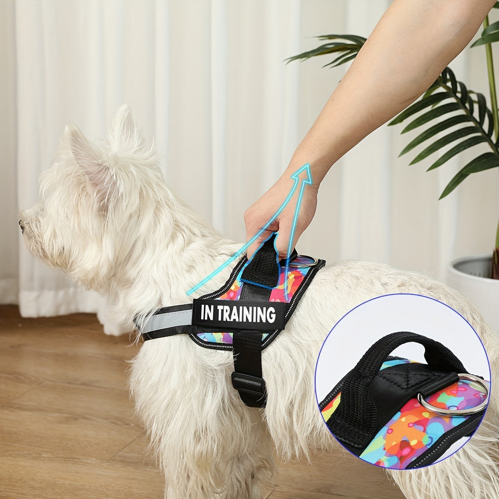 No-Pull Dog Walking Harness, Reflective Adjustable Everyday Training Gear for Small, Medium and Large Dogs in 11 Colors, XS to XXL
