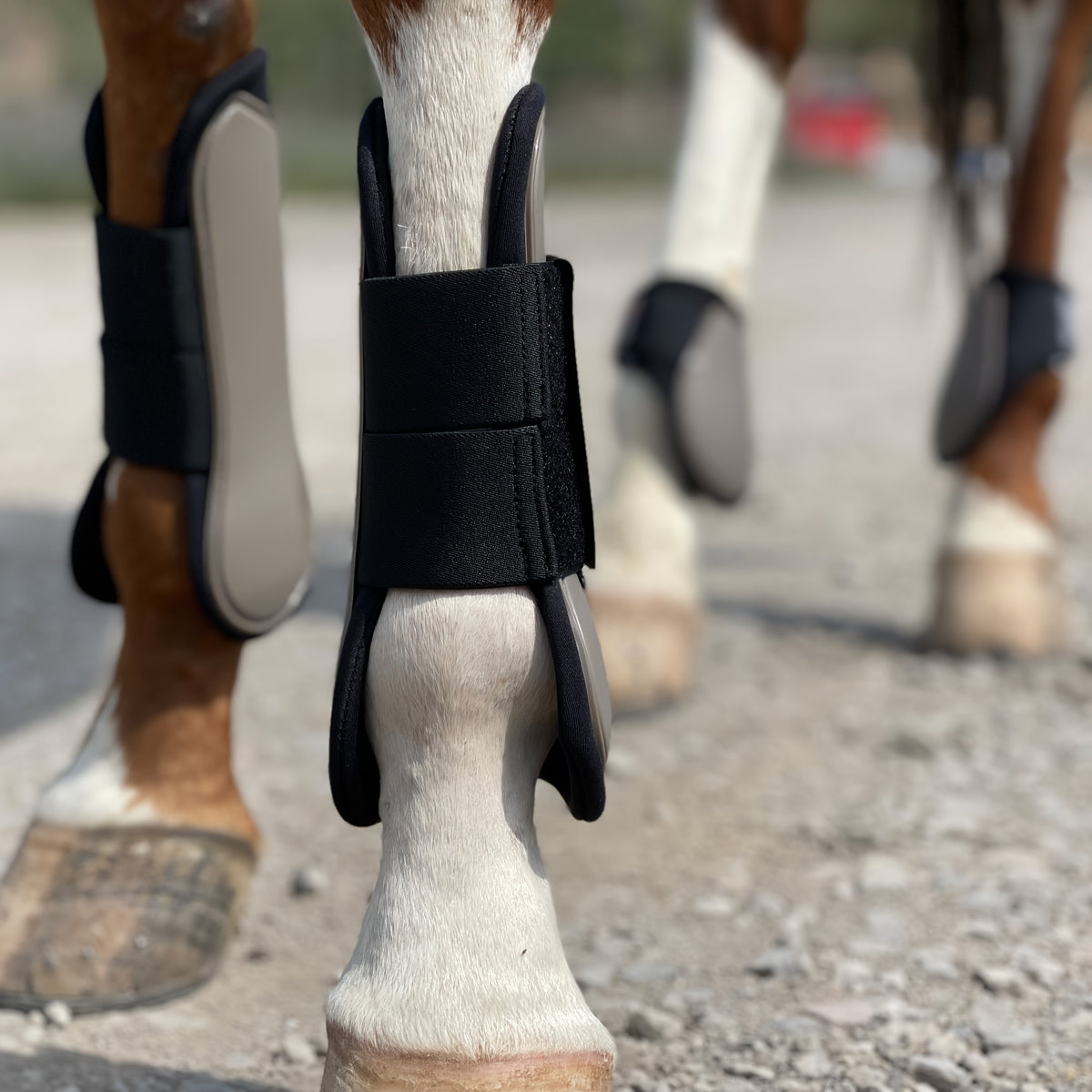 Horse Tendon Boots Set of 4, Open Front and Fetlock Leg Guards in PU and Neoprene for Riding, Jumping and Training, FULL and COB Size Options