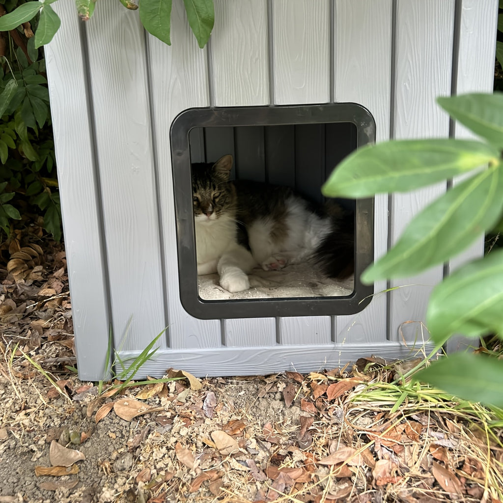 Roofed Outdoor Cat Shelter in Grey, Cozy Pet Resting House for Covered Porches and Secure Balconies, Dedicated Cat Hideaway for Everyday Rest