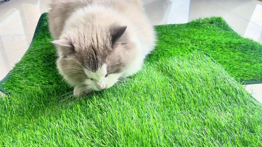 Artificial Grass Potty Training Mat for Dogs, Washable Reusable Turf Pad with Drainage and Non-Slip Base for Indoor and Outdoor Use