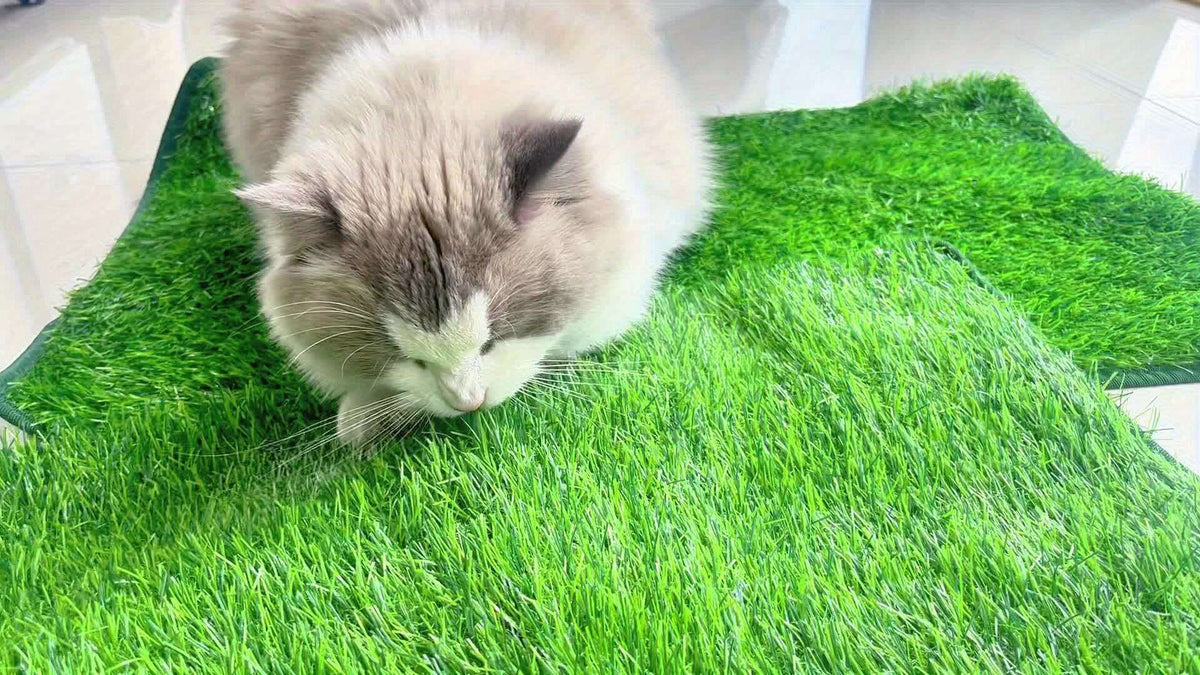 Artificial Grass Potty Training Mat for Dogs, Washable Reusable Turf Pad with Drainage and Non-Slip Base for Indoor and Outdoor Use