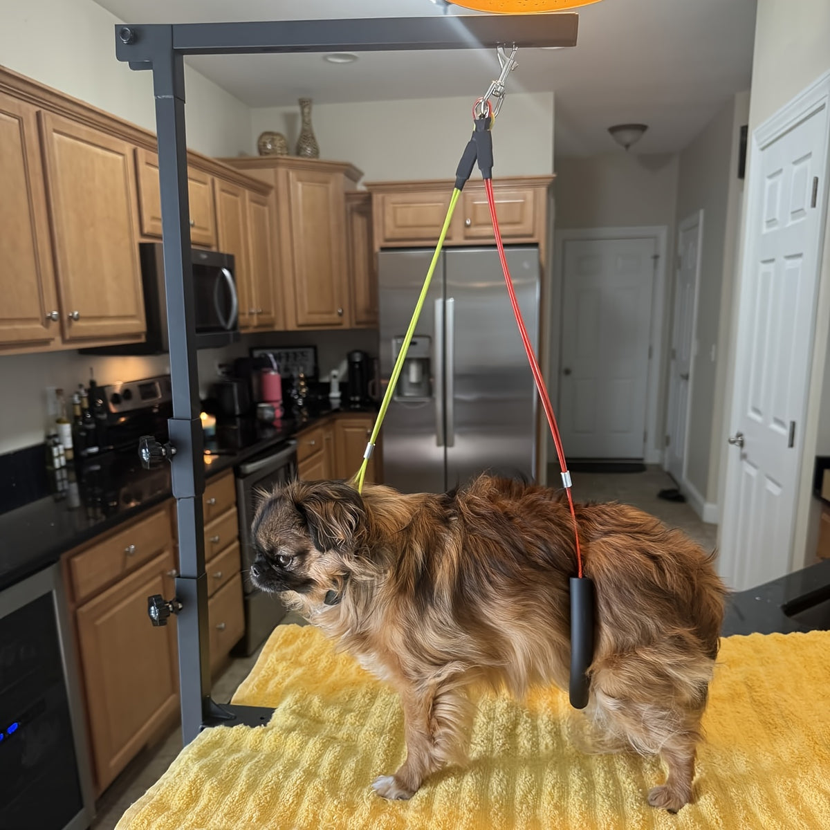 Dog Grooming Arm with Clamp, Adjustable 36-Inch Iron Three-Section Stand with No-Sit Haunch Holder and Ropes for Small and Medium Dogs and Cats