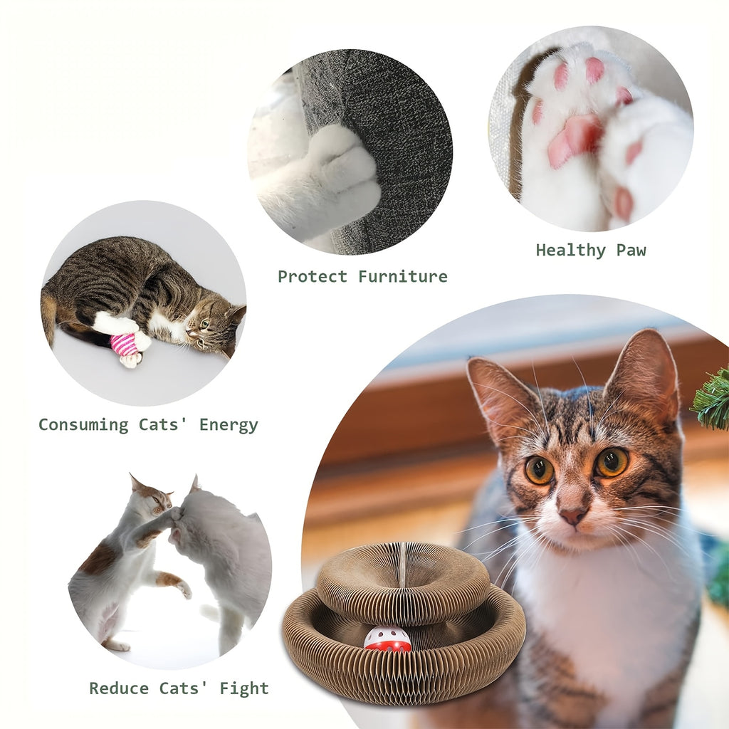 Expandable Cat Scratcher Toy 2-Pack, Curly Corrugated Cardboard Scratching Board with Ball for Indoor Cats, Retractable Scratch Pad for Daily Play