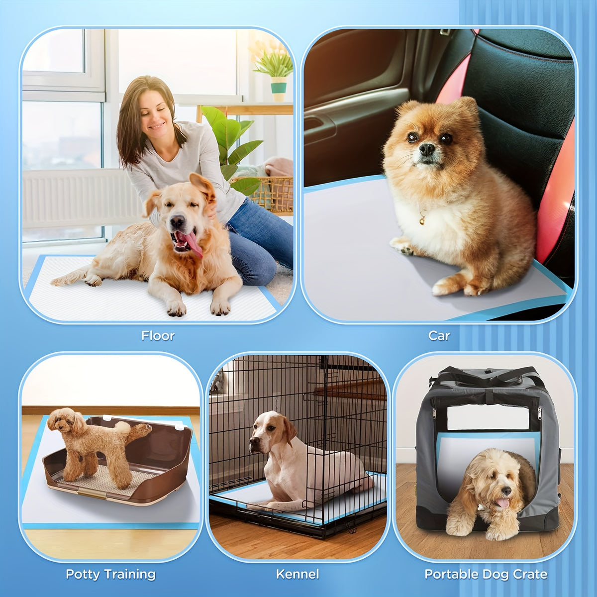 Quick-Dry Dog Pee Pads 31 x 47 Inch, 60 Count Extra Large Absorbent Puppy Potty Training Pads with Leak Protection for Housebreaking and Crate Use