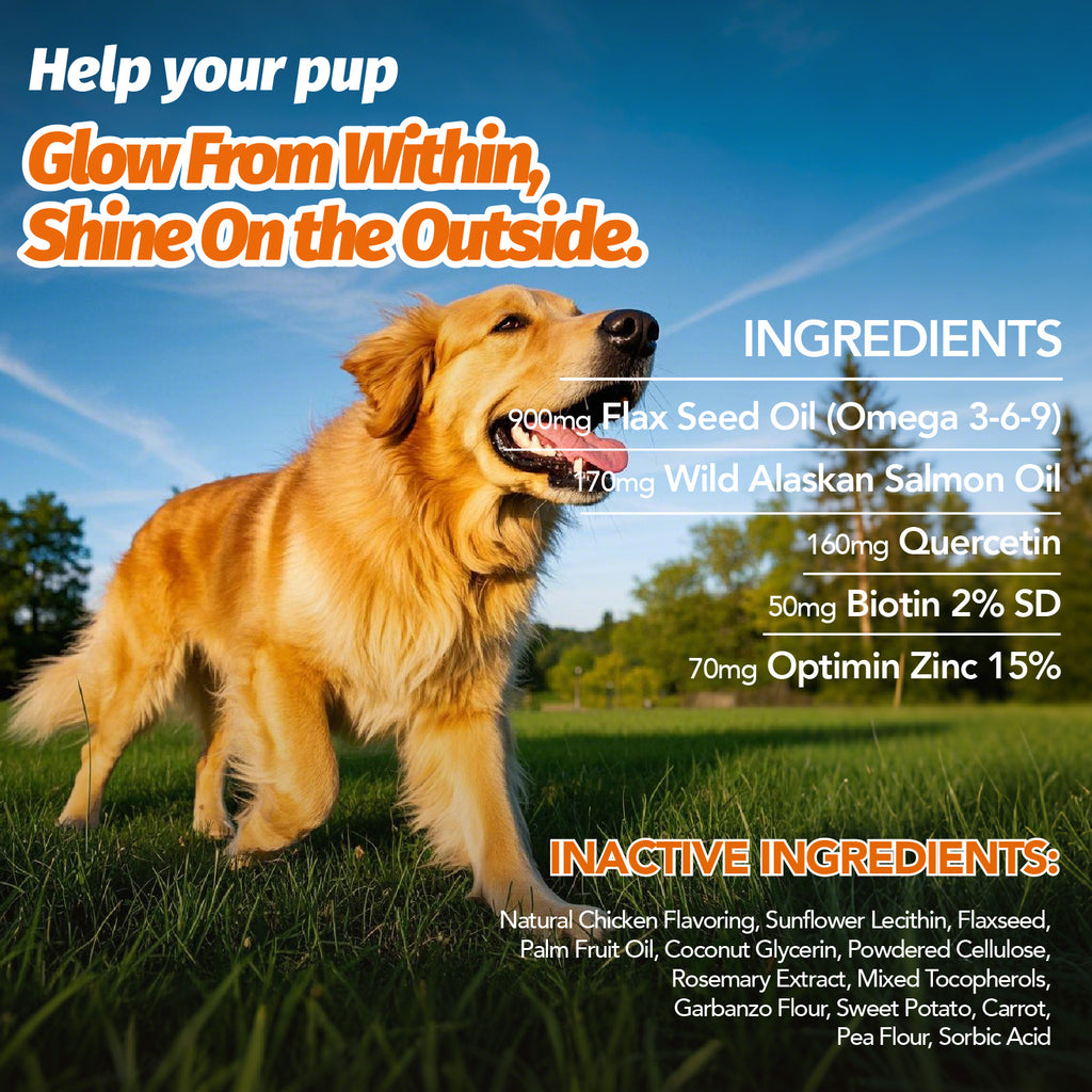 Omega 3 Dog Chews with Probiotics, 90 Count Skin and Coat Supplement for Canine Daily Care, Available in One, Two or Three Bottle Packs