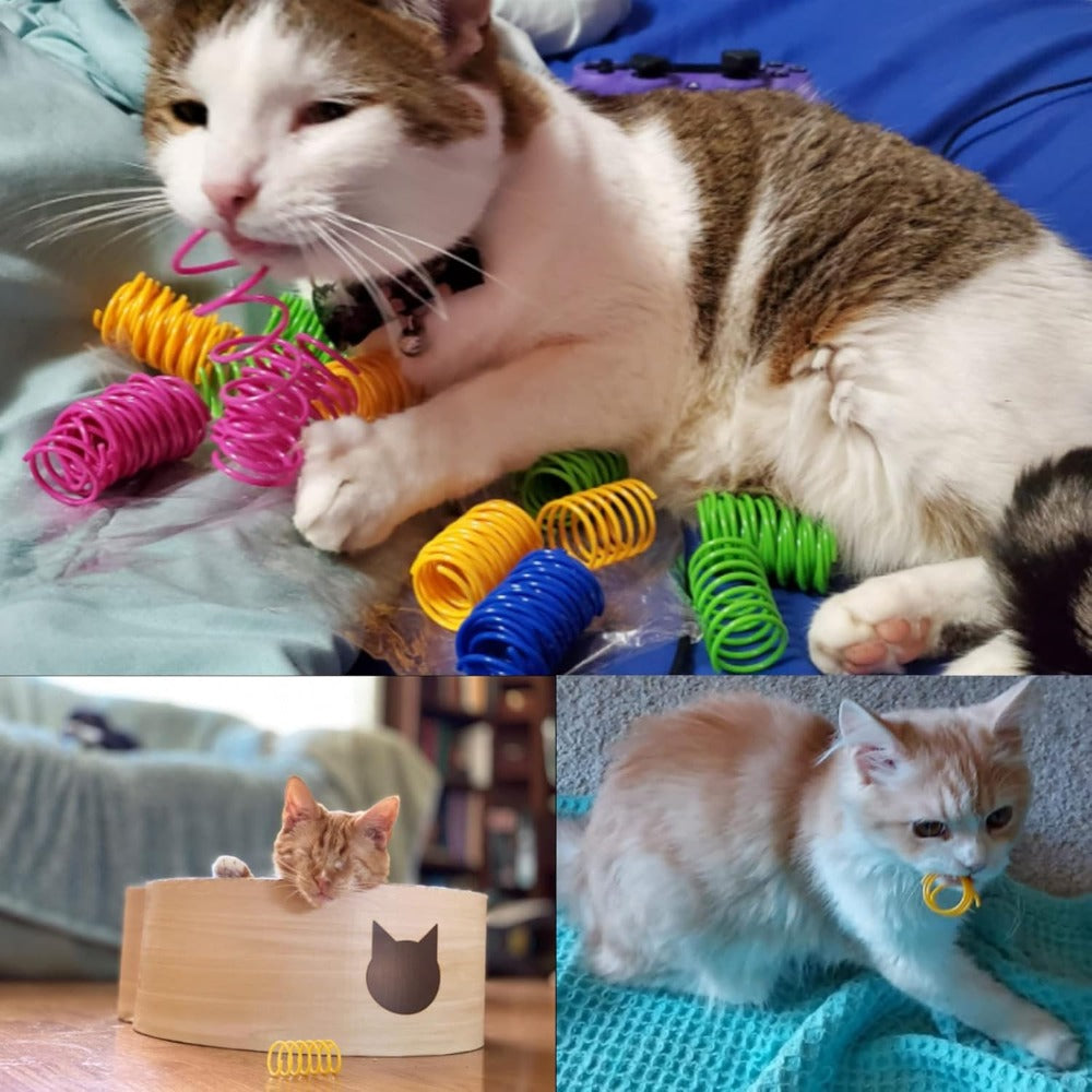 Cat Spring Toys 100 Pack for Indoor Cats and Kittens, Colorful Plastic Spiral Toys for Chasing, Batting and Supervised Interactive Play