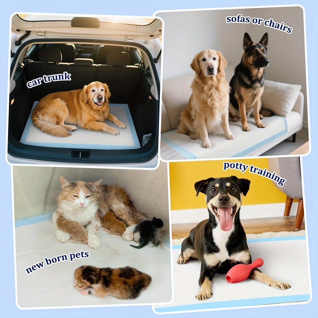 Disposable Puppy Pads with 6-Layer Absorbent Design, Heavy-Duty 125 Count or 35 x 29 Inch 98+2 Pack Options for Indoor Dog Potty Training