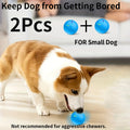 Interactive Pet Balls 2 Pack with Motion Sensor and Flashing Lights, USB Rechargeable Jumping and Rolling Toys for Small Dogs and Cats, Two Modes