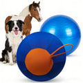 Herding Ball for Dogs with Handle and Air Pump, Large Inflatable Outdoor Training Toy for Australian Shepherds, Border Collies and Backyard Play