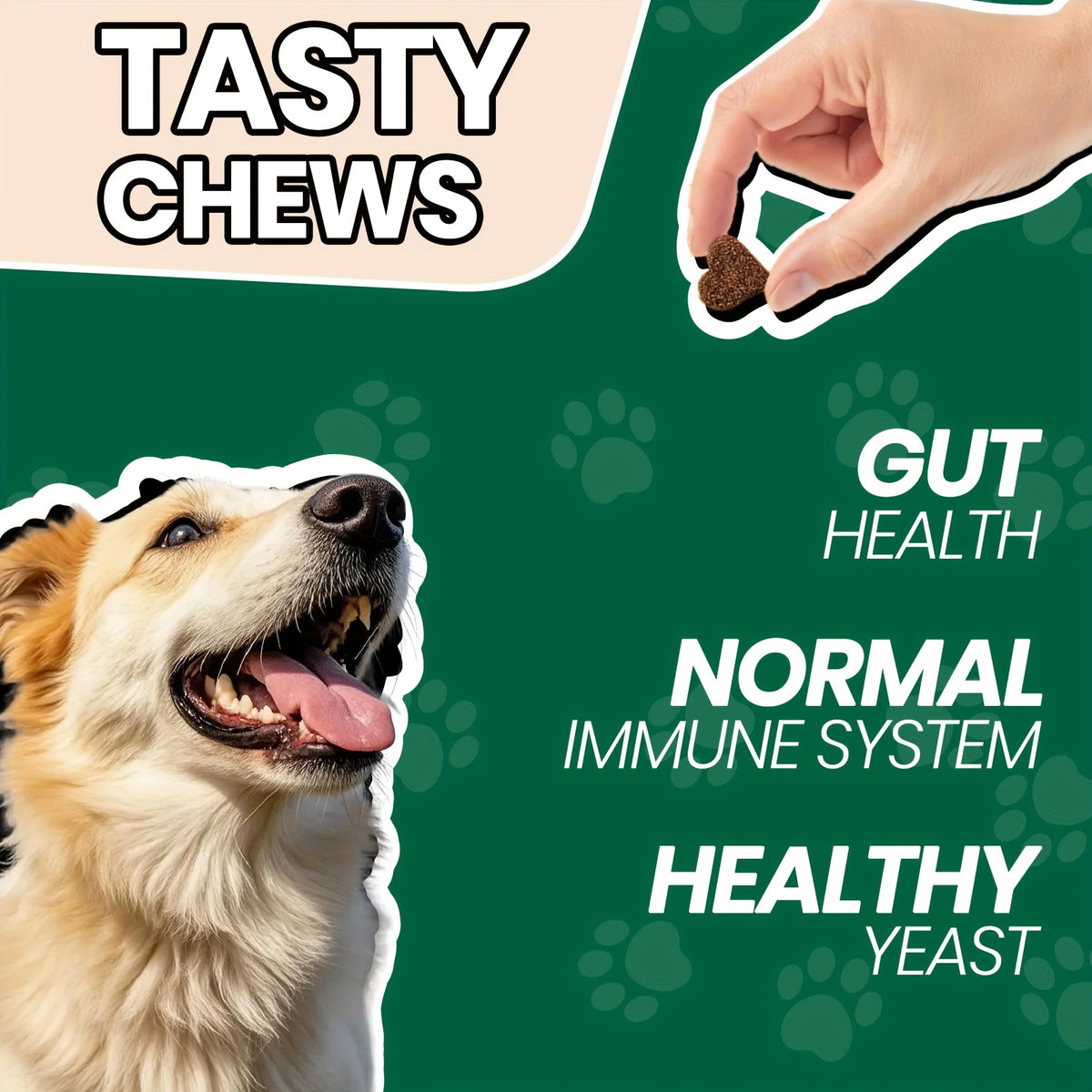 Chicken-Flavored Probiotic Chews for Dogs, Listed 90 Soft Chews with One or Three Bottle Options for Owner-Managed Canine Nutrition Routines
