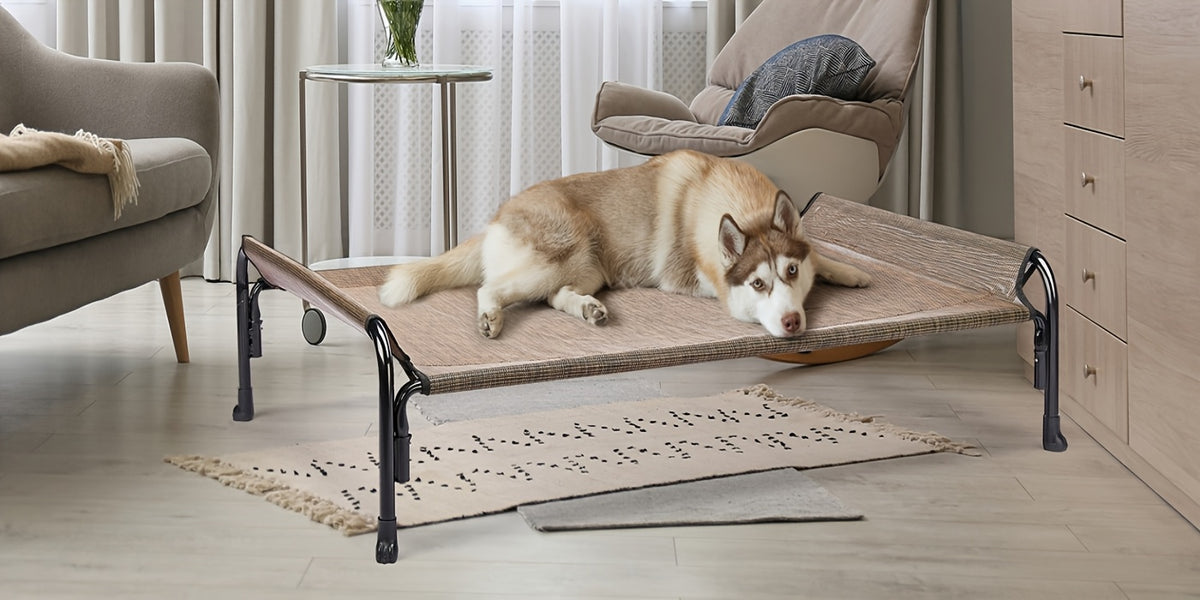 Elevated Dog Bed with Sloped Headrest, Breathable Raised Pet Cot in M to XXL Sizes for Indoor Lounging, Outdoor Rest and Camping