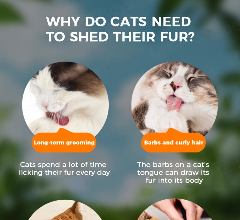 Cat Snack Pellets and Biscuits, 150g Cat Grass Pellets or Mixed Flavor Cat Biscuits and 155g Green Square Mint Granules for Supervised Treat Time