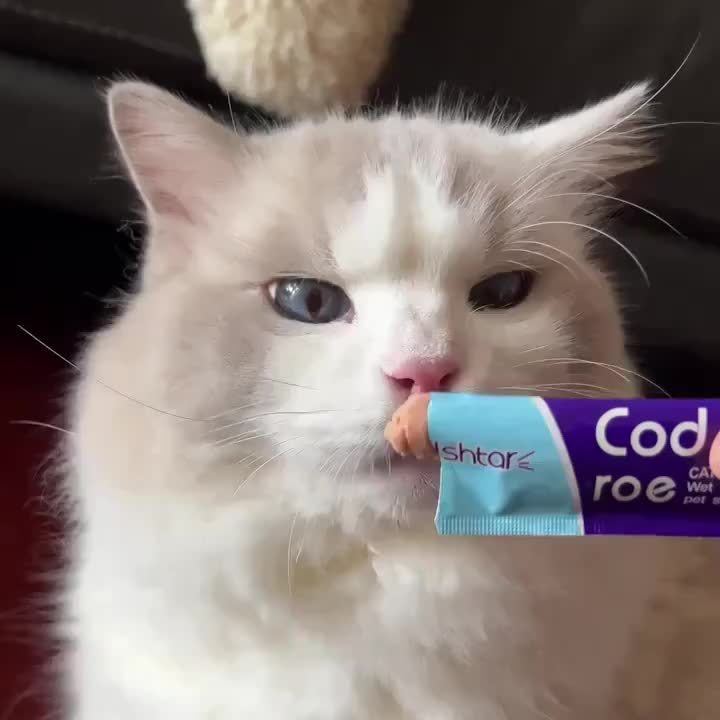 Cat Treat Bars Five-Flavor Variety Pack, 16g Each in 100 or 200 Count Options, Chicken Egg Yolk, Salmon, Cod, Abalone Beef and Tuna Flavor Snacks