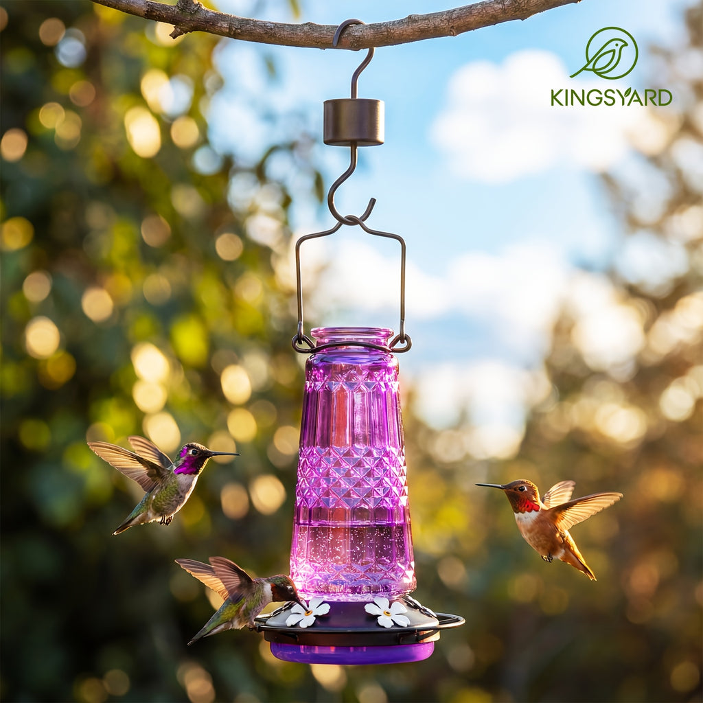 Glass Hummingbird Feeder 24oz by Kingsyard, Outdoor Hanging Nectar Feeder with 6 Feeding Ports and Ant Moat, Four Colors in Single or Two-Pack Options