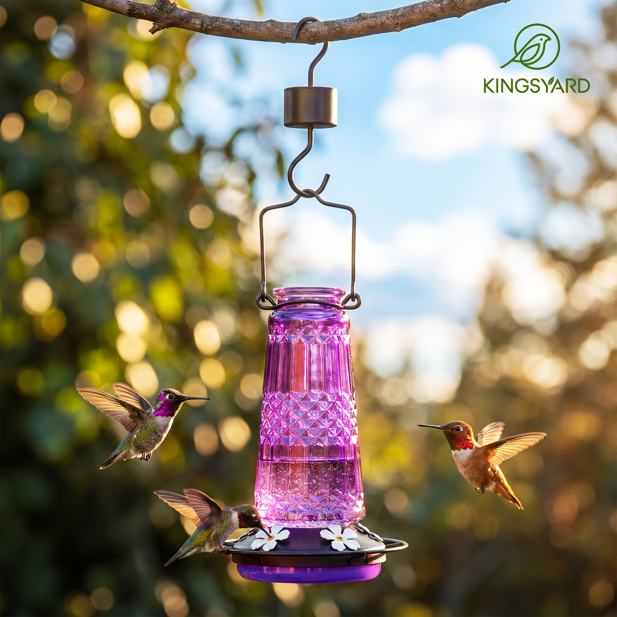 Glass Hummingbird Feeder 24oz by Kingsyard, Outdoor Hanging Nectar Feeder with 6 Feeding Ports and Ant Moat, Four Colors in Single or Two-Pack Options