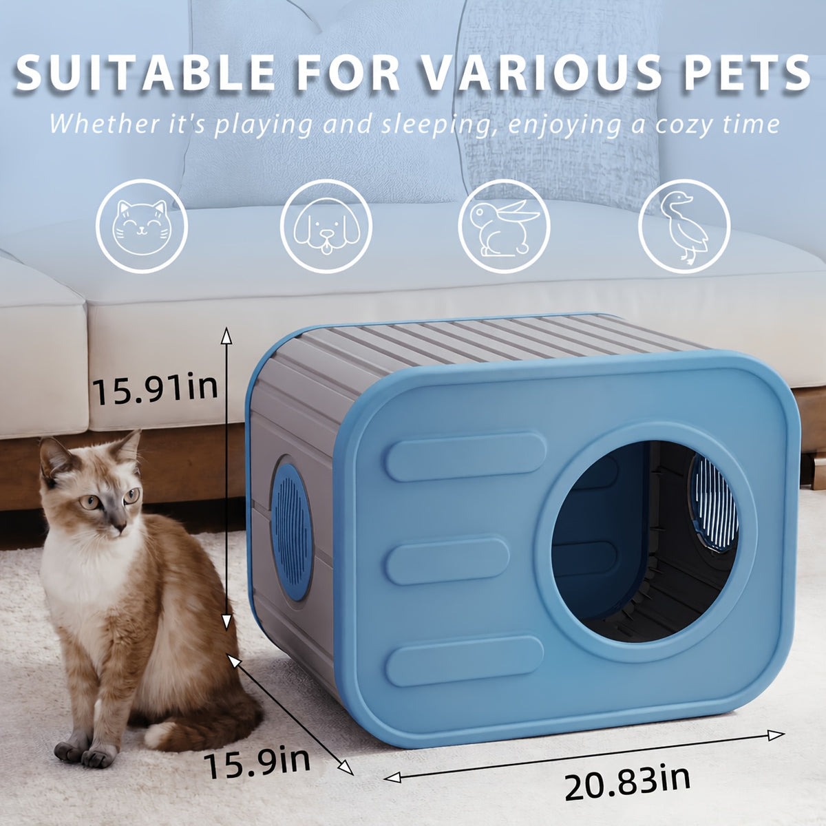 Camera-Shaped Cat House with Side Ventilation, Washable Cat Hideaway in Blue or Black for Indoor and Sheltered Outdoor Use, Optional Cushion