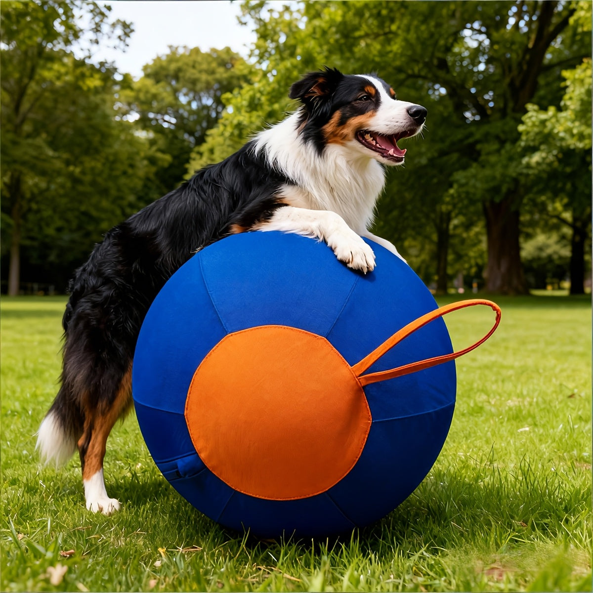 Herding Ball for Dogs with Handle and Air Pump, Large Inflatable Outdoor Training Toy for Australian Shepherds, Border Collies and Backyard Play