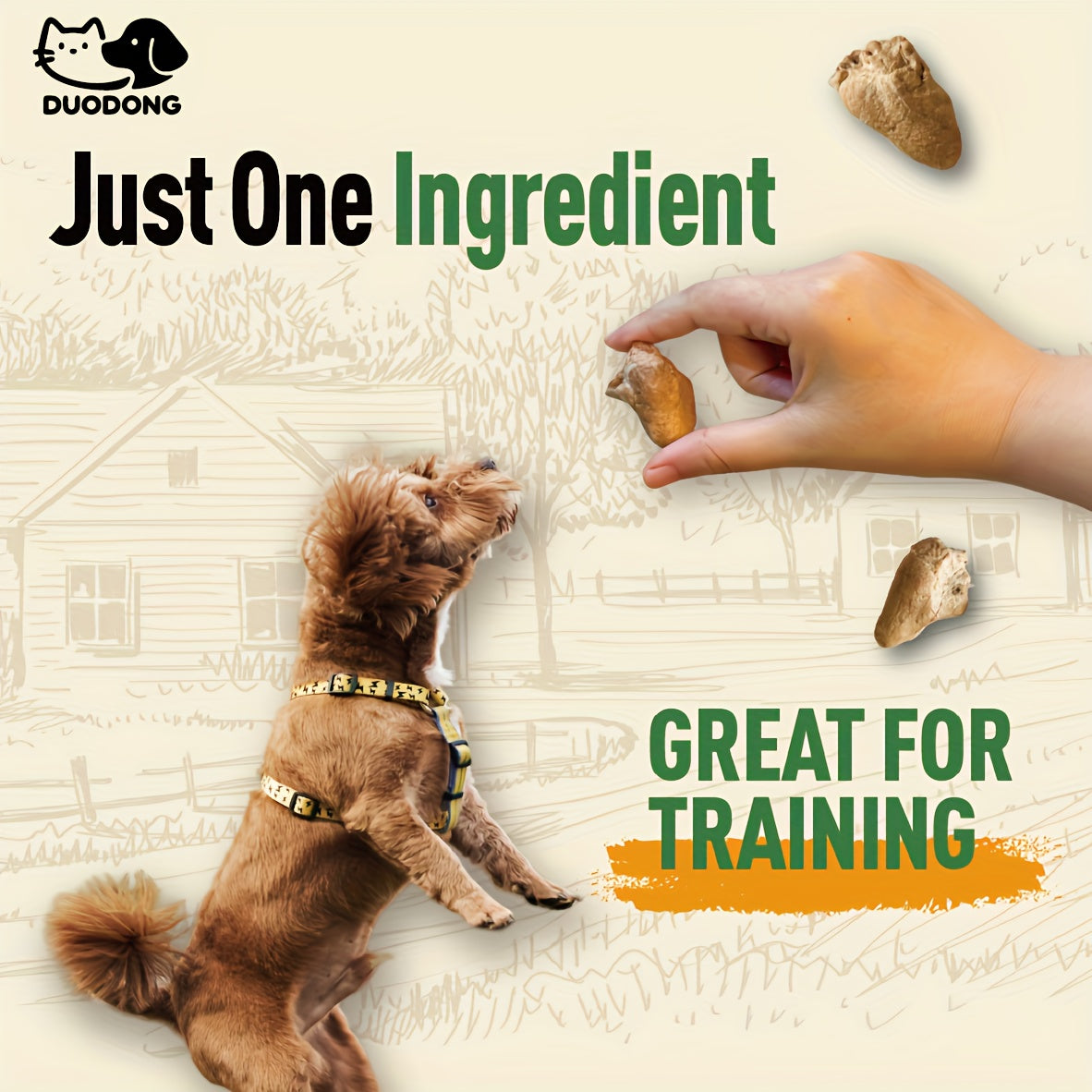 Freeze-Dried Chicken Hearts 300g for Cats and Dogs, Single-Ingredient Grain-Free Meat Treats for Training Rewards, Food Toppers and Snack Time