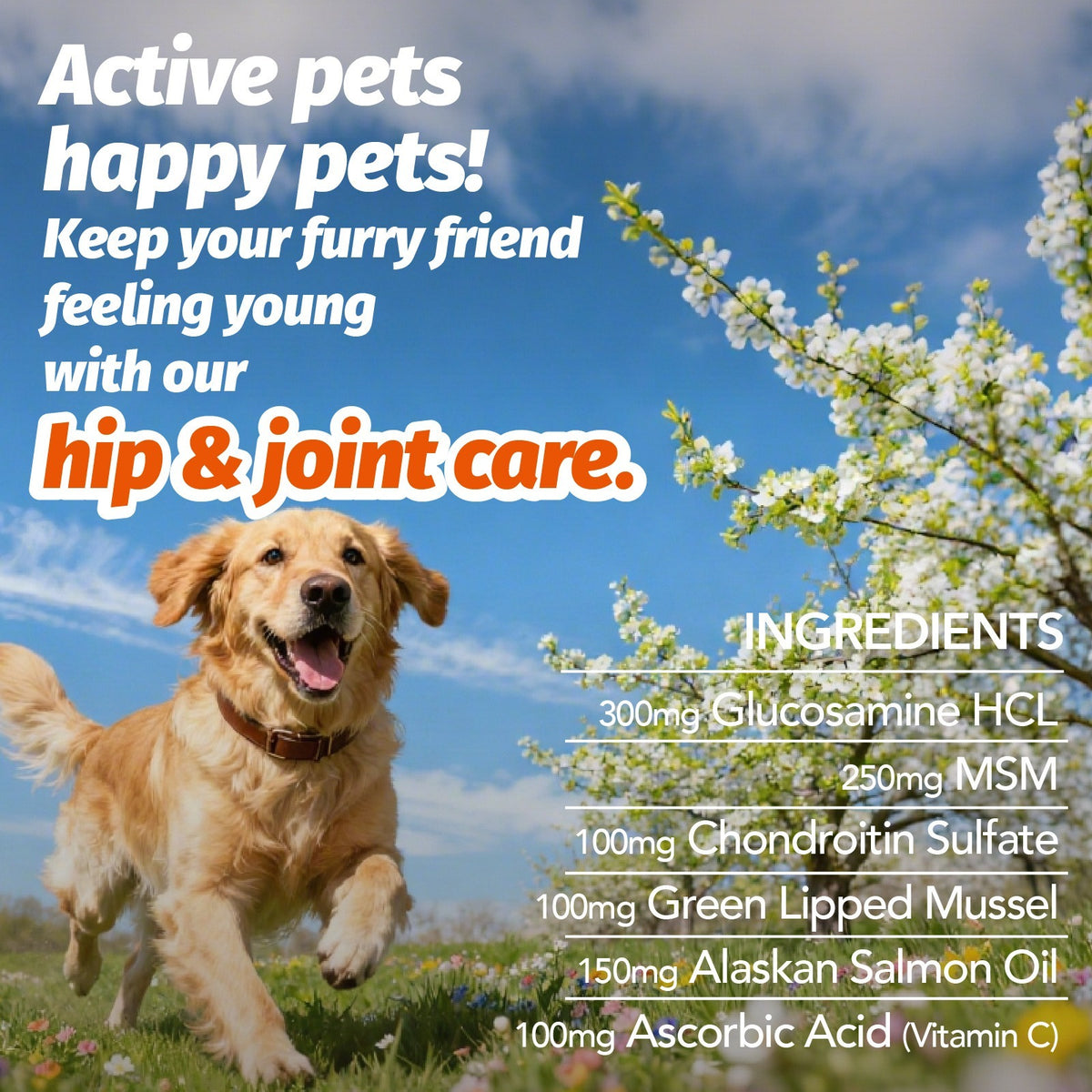 Joint Care Soft Chews for Dogs and Cats, Chicken Flavor with Glucosamine, Chondroitin and Alaskan Salmon Oil, 90 Count, Bottle Options