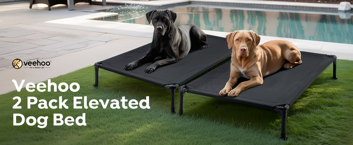 Elevated Dog Bed 2 Pack for Large Dogs, 42 x 30 Inch Breathable Mesh Raised Cots with Non-Slip Feet, Tool-Free Assembly for Indoor, Patio and Camping