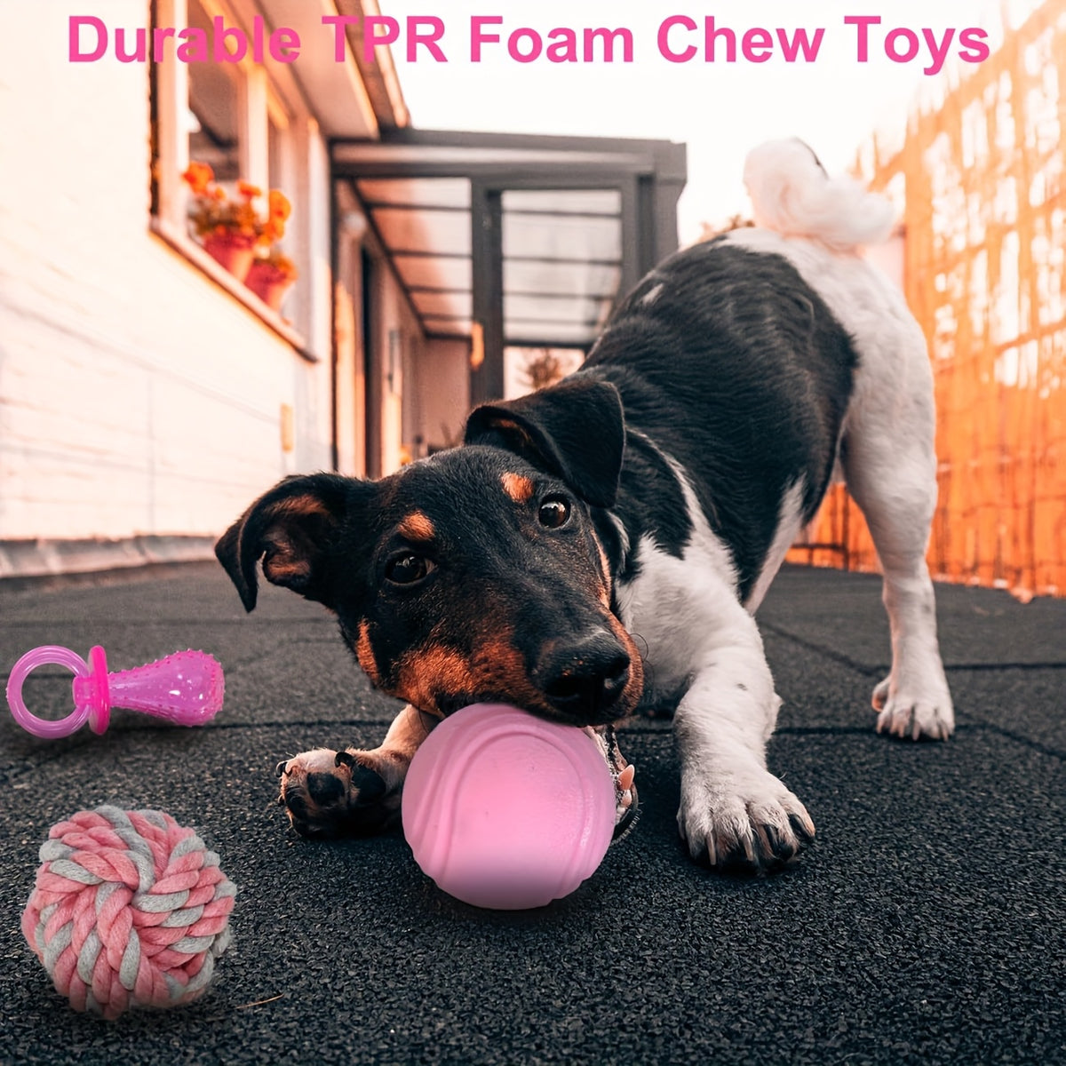 Puppy Chew Toy Variety Pack, Random 5 or 8 Piece Small Dog Toy Bundle for Supervised Teething Play, Interactive Indoor Games and New Puppy Gifts