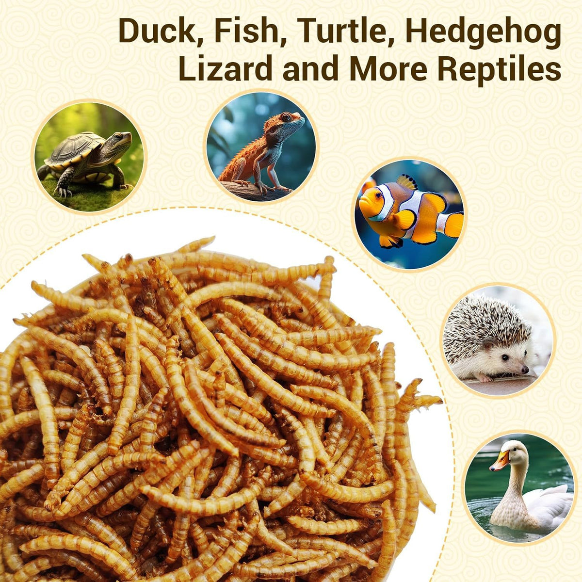 Dried Mealworms for Chickens and Wild Birds, Insect Treats for Backyard Feeding and Foraging Routines with Small and Bulk Weight Options