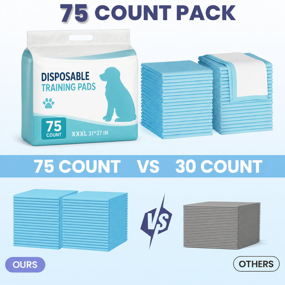 Dog Pee Pads 31 x 37 Inch, 75 Count Extra Large Disposable Puppy Training Pads with Seven-Layer Absorption for Large Dogs and Multi-Pet Homes