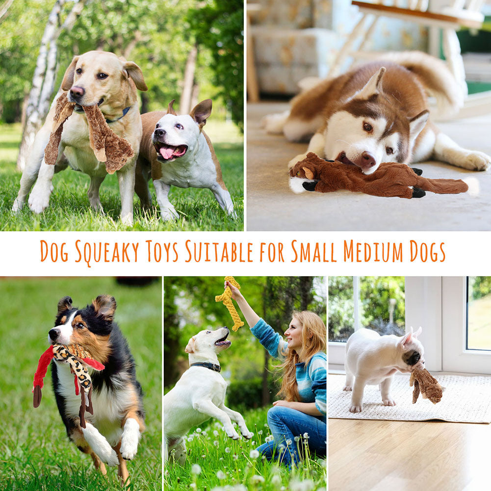 Stuffless Dog Toy Bundle, 5-Piece Squeaky Animal Plush Set with Cotton Rope, Machine Washable Toys for Supervised Fetch and Interactive Play