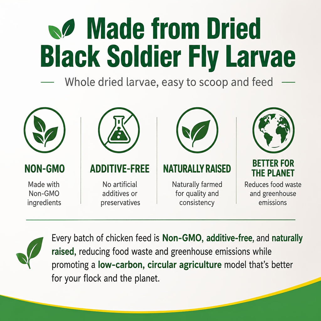 Dried BSFL Grubs for Chickens, Black Soldier Fly Larvae Treats with 46% Protein and 6% Calcium for Hens, Ducks and Birds, 2, 5 or 10 lb