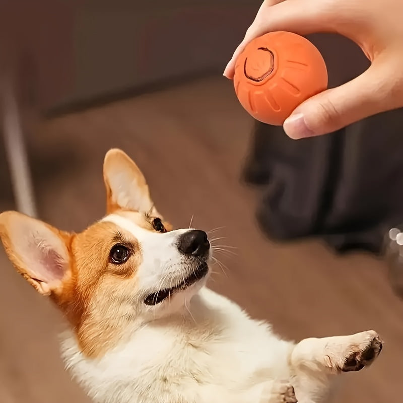 Motion Activated Dog Ball, USB Rechargeable Automatic Rolling Interactive Toy for Small and Medium Dogs, Blue or Orange for Supervised Chase Play
