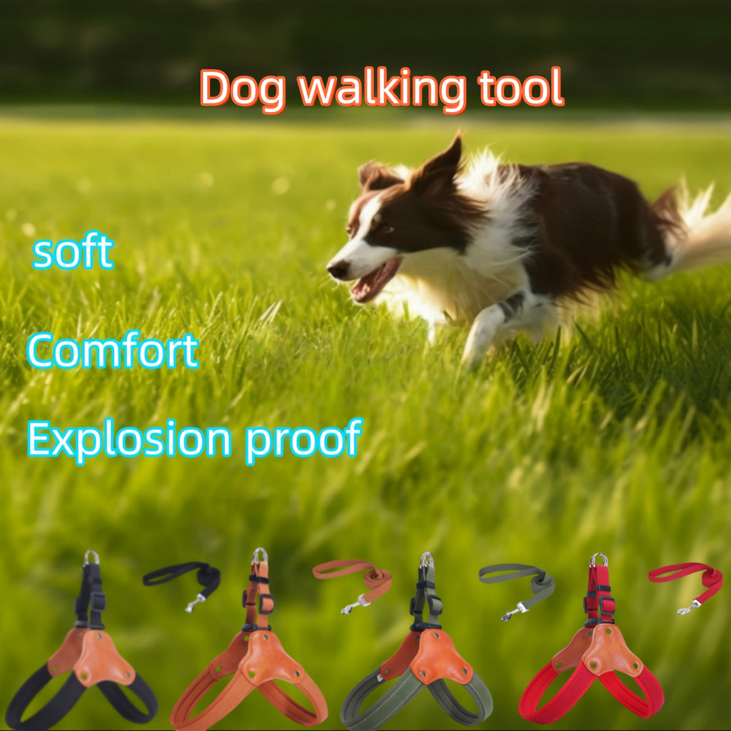 Chest and Back Dog Walking Harness, Everyday Pet Walking Gear in Red, Black, Brown or Army Green with S to XL Size Options for Outdoor Routines
