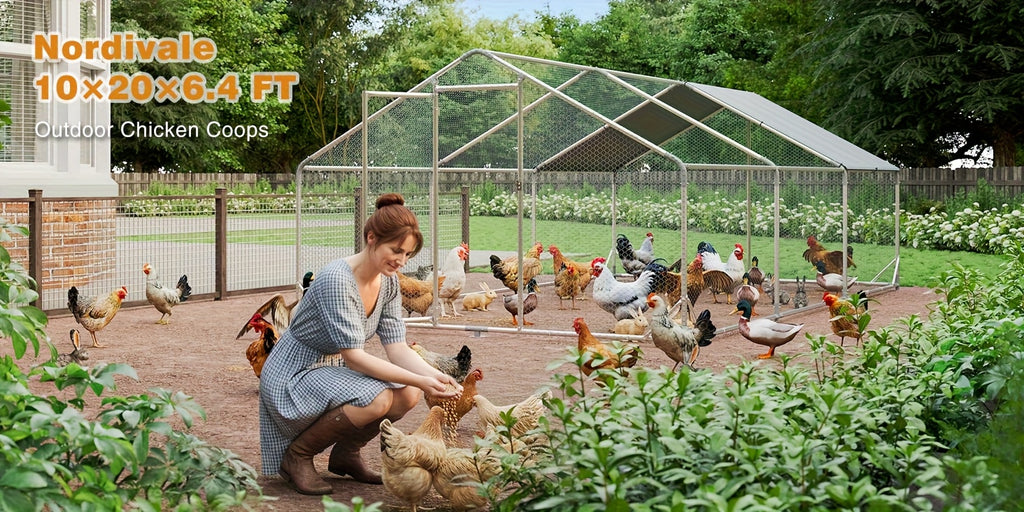 Chicken Coop with Winter Wrap Cover, Walk-In Galvanized Metal Poultry Run with Lockable Door for Backyard Hens and Ducks, White Size Options