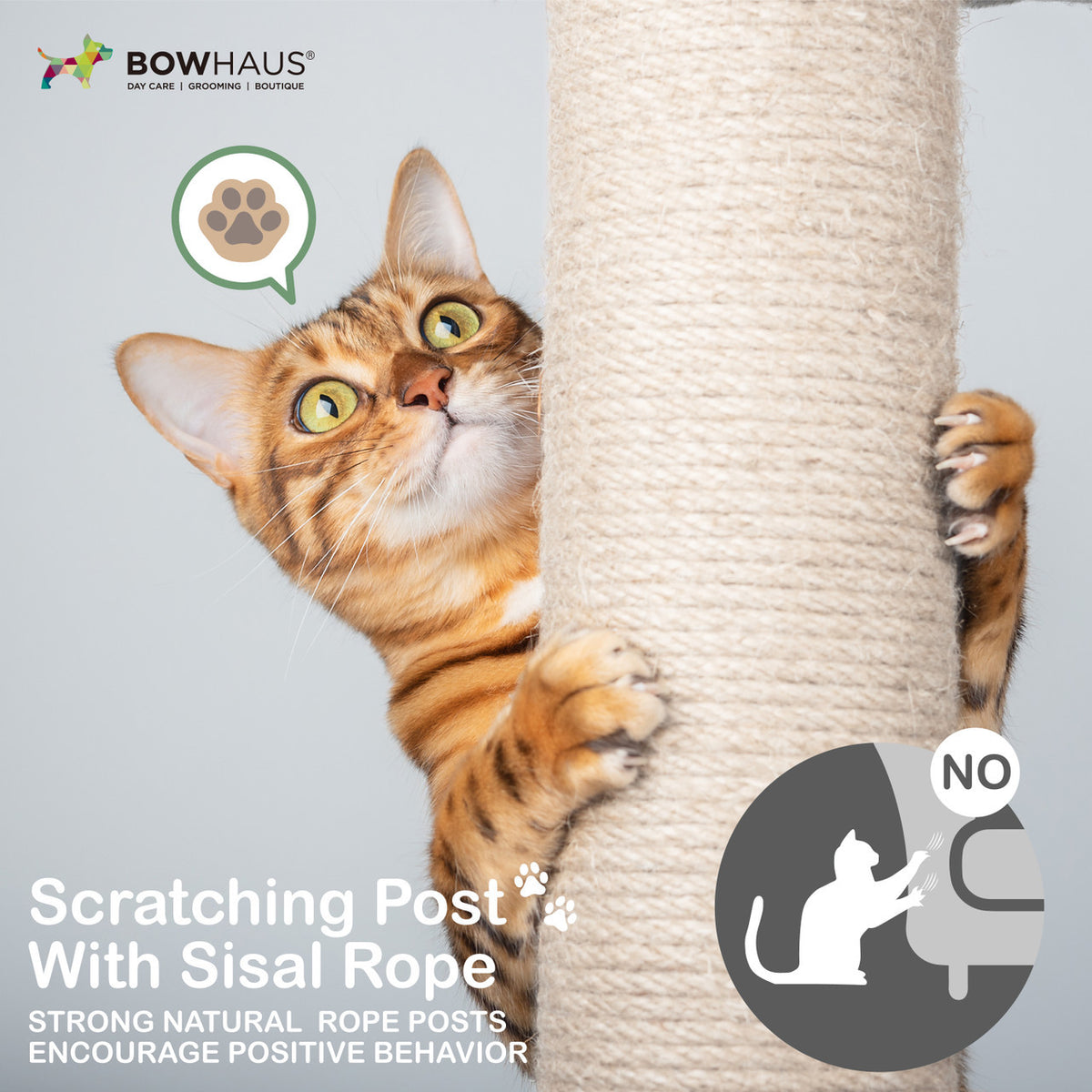 Small Cactus Cat Tree for Kittens, Green 20-Inch Indoor Cat Tower with Three Sisal Scratching Posts, Arched Pad and Interactive Ball
