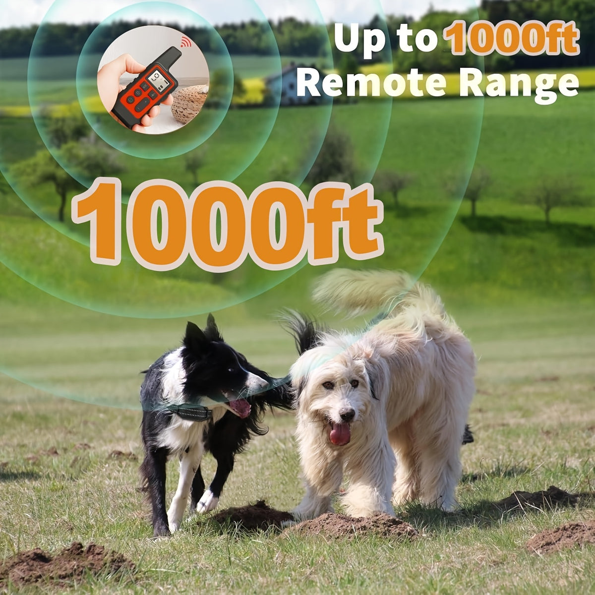 Dog Training Collar with 9-Level Adjustment, Rechargeable Remote E Collar with Tone, Vibration and Static Stimulation Modes in Red or Black