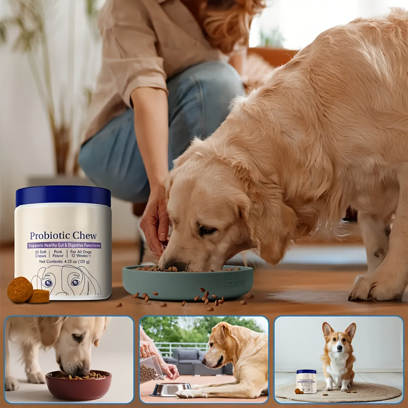 Probiotics for Dogs Nutritional Supplement, Promotes Digestion and Absorption, Canine Gut Health Tablets for All Breeds, 12.69 oz 90 Tablets, 3-Pack Daily Digestive Support for Puppies and Adult Dogs