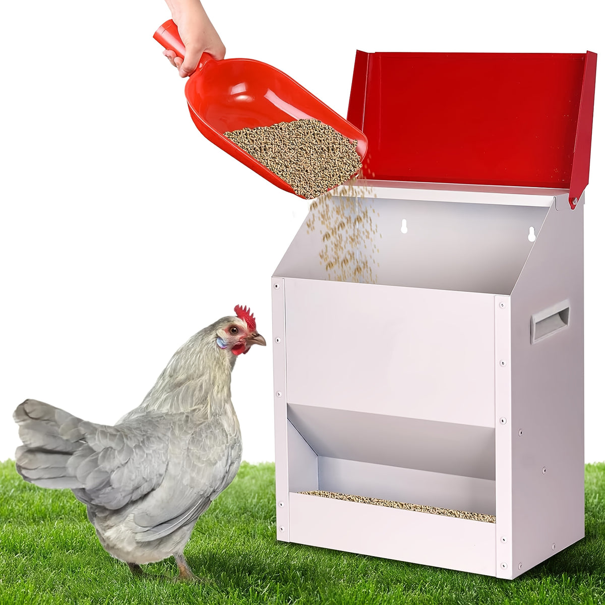 Wall Mounted Chicken Feeder with Cover, Galvanized Metal Gravity Poultry Food Dispenser for Backyard Coops, Chicken, Duck and Quail Feeding