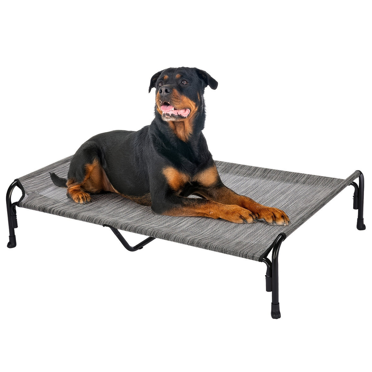Elevated Dog Bed with Sloped Headrest, Breathable Raised Pet Cot in M to XXL Sizes for Indoor Lounging, Outdoor Rest and Camping