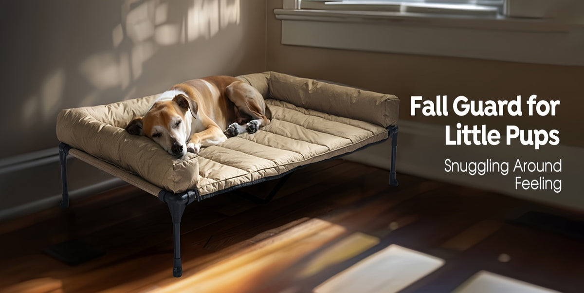 Elevated Dog Bed with Removable Pillow-Top Mat, Three-Sided Bolster Pet Cot with Breathable Teslin Mesh, Steel Frame and Non-Slip Feet in Four Sizes