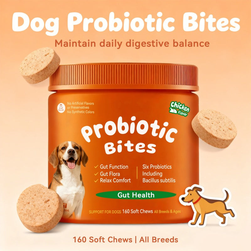 Pumpkin Flavor Dog Probiotics, Soft Chewable Tablets for Daily Digestive Health and Gut Flora Support, 160 or 320 Count Options