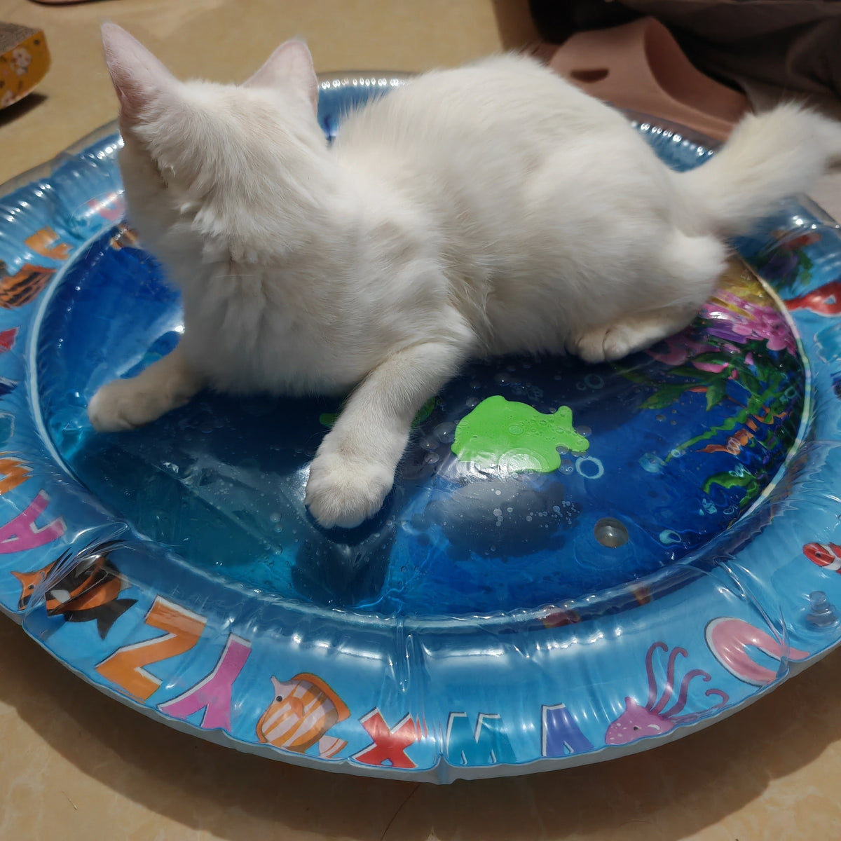 Round Pet Cooling Mat with Water-Fill Center, Blue Ocean Animal Print Pad with Inflatable Rim for Cats and Small Dogs, Indoor and Shaded Patio Use