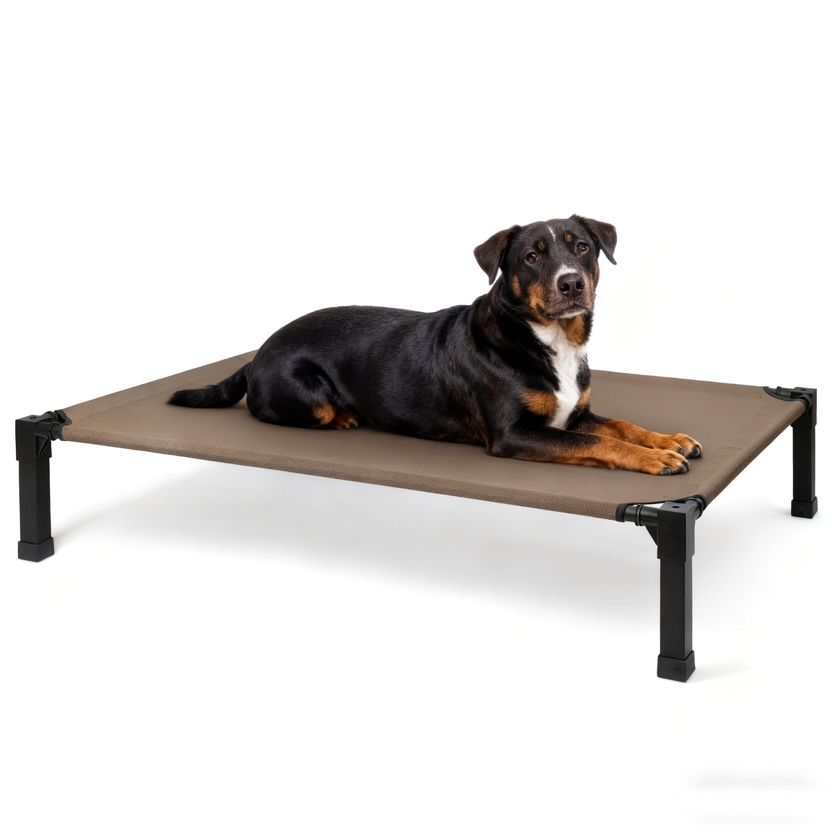 Elevated Dog Bed with Washable Mesh and Metal Frame, Raised Cooling Dog Cot with Non-Slip Feet, 35-60 Inch Options for Indoor and Outdoor Rest